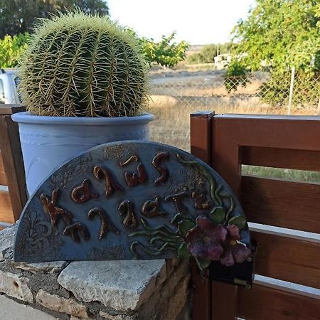 Cactus Home Kalamaki  Bagian luar foto