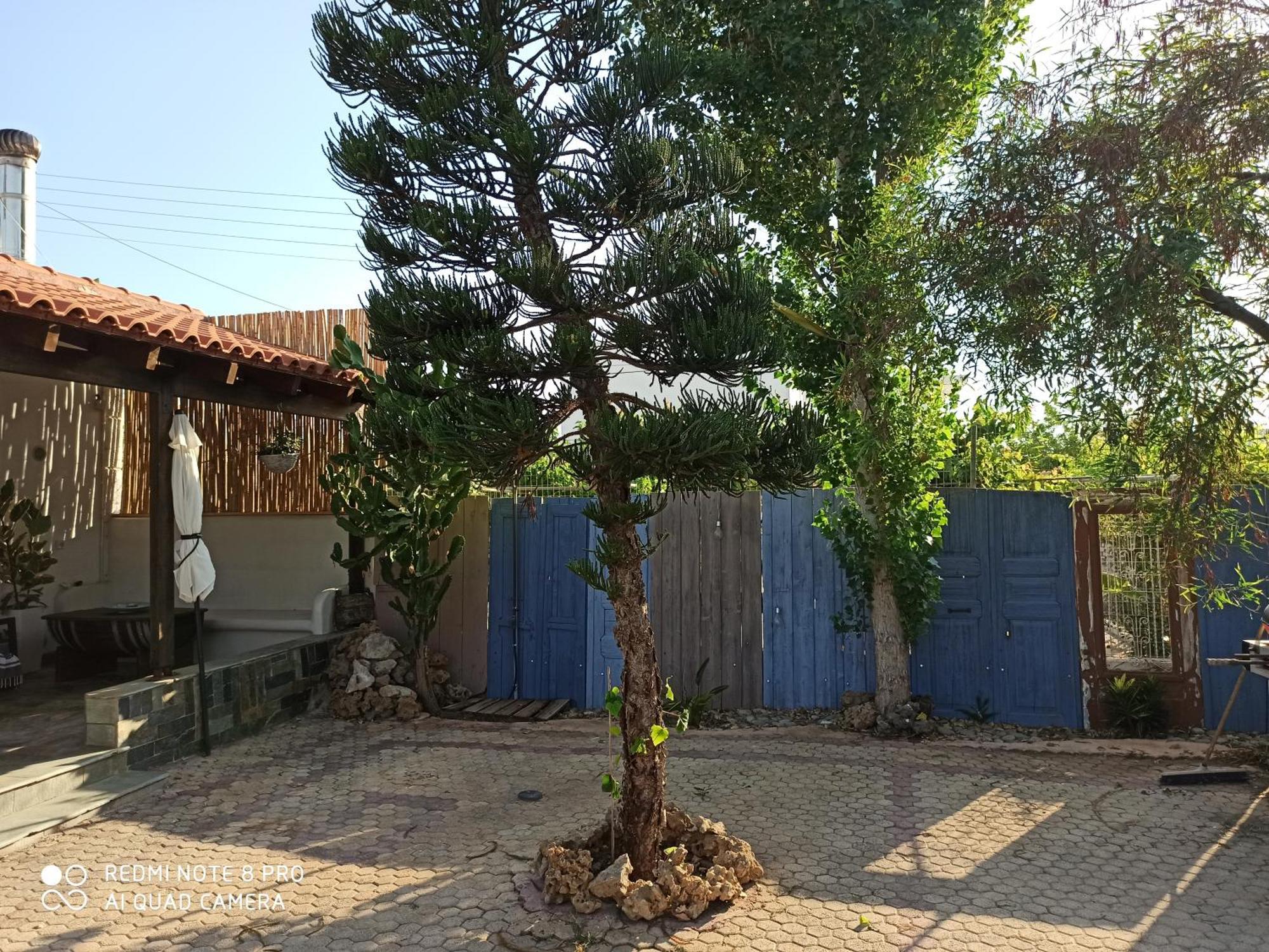 Cactus Home Kalamaki  Bagian luar foto