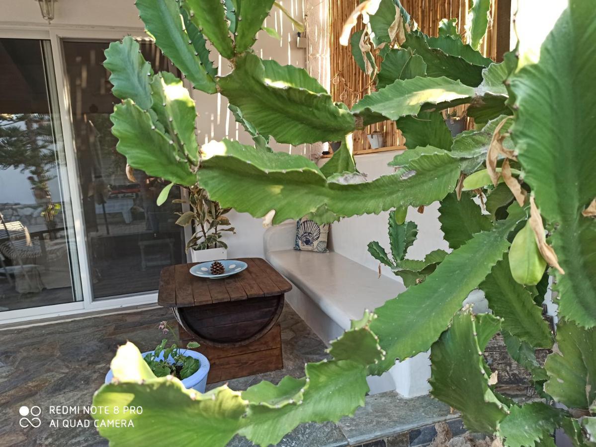 Cactus Home Kalamaki  Bagian luar foto