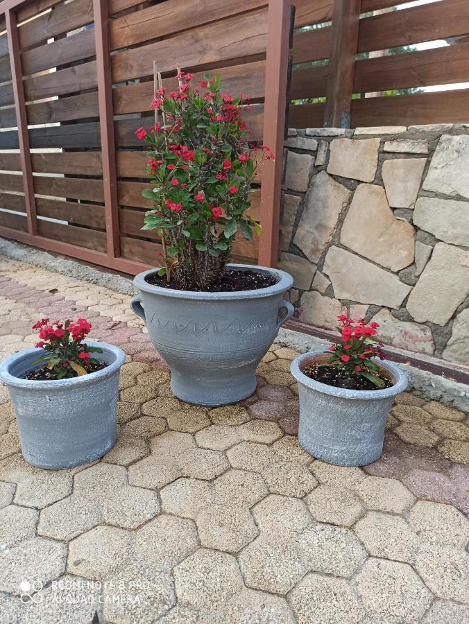 Cactus Home Kalamaki  Bagian luar foto